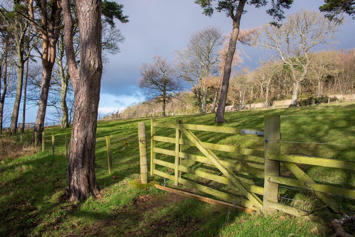 Stunning Stables Cottage In East Lothian Country Estate 노스베릭 외부 사진